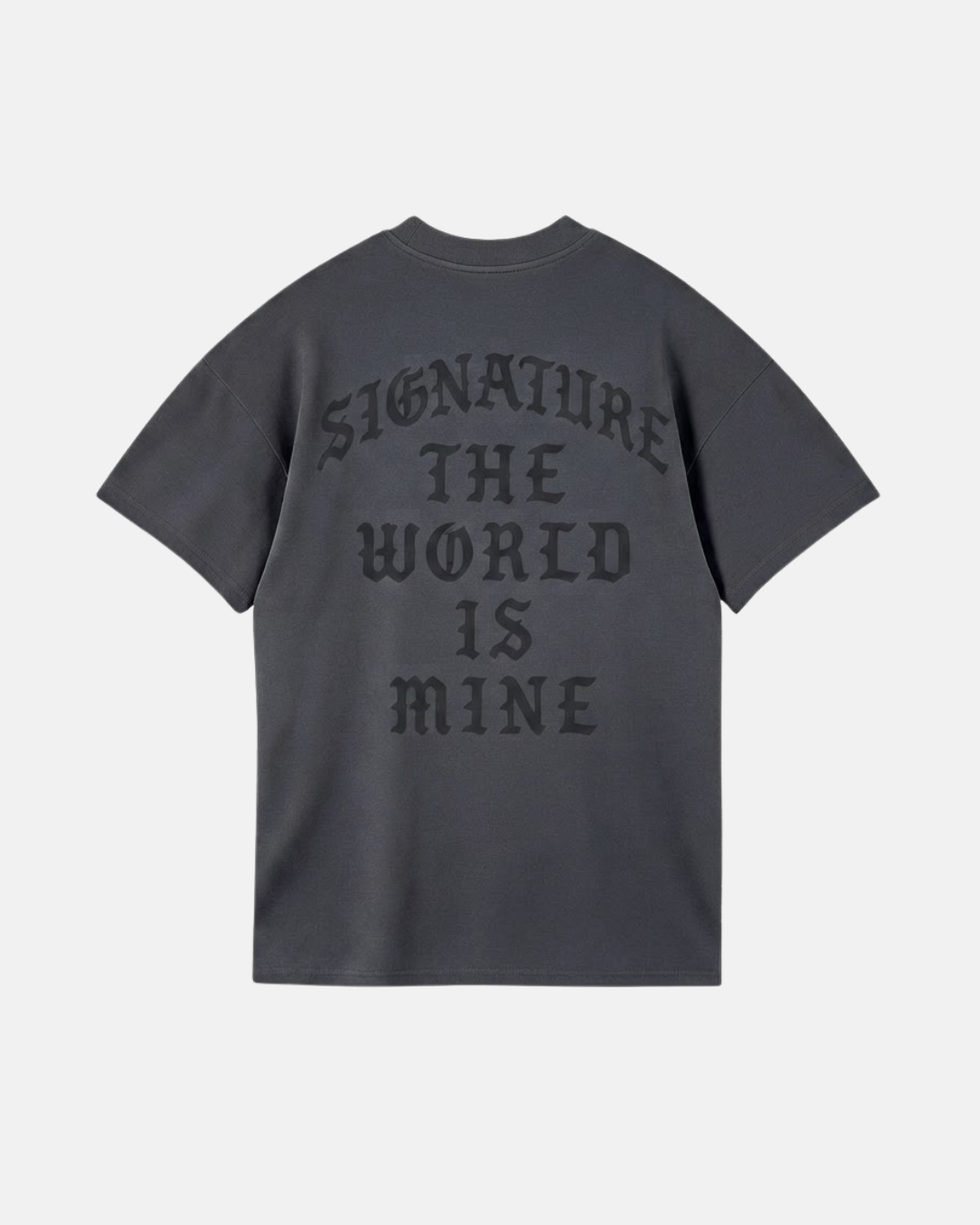 T016 - World Is Mine Tee Gris