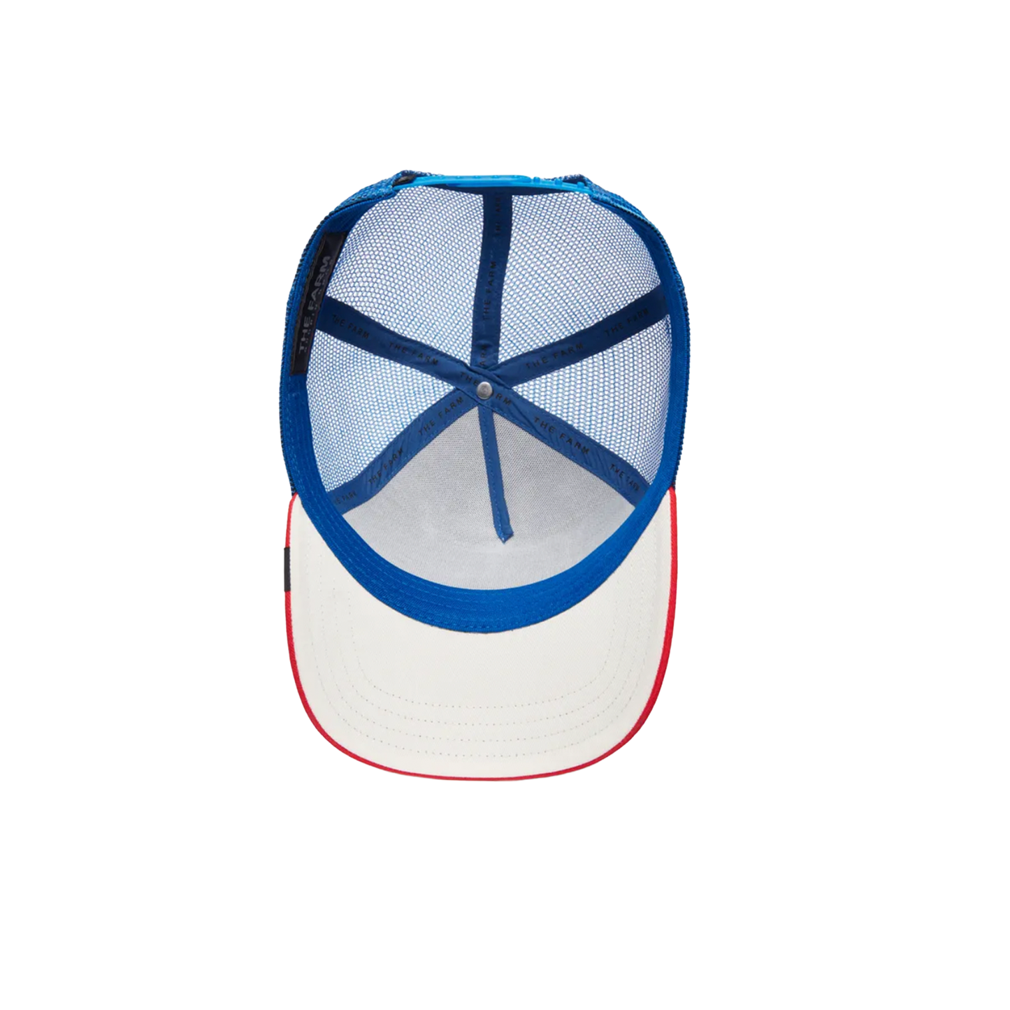 Gorra The Rager Bison Goorin Bros