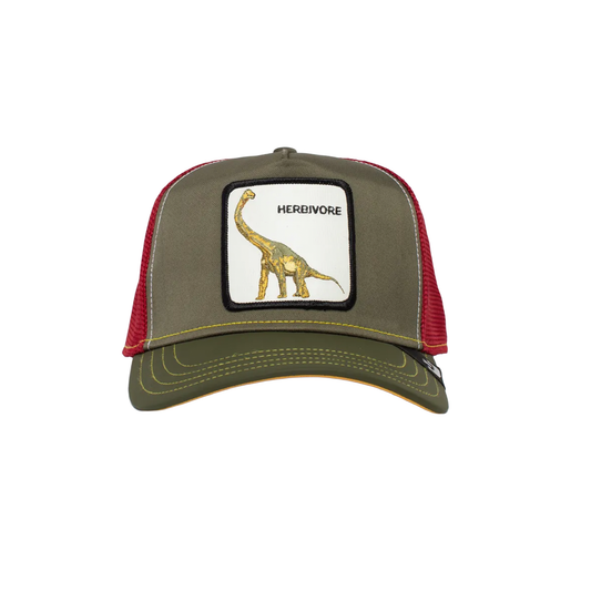 Gorra Thunder Lizard Goorin Bros