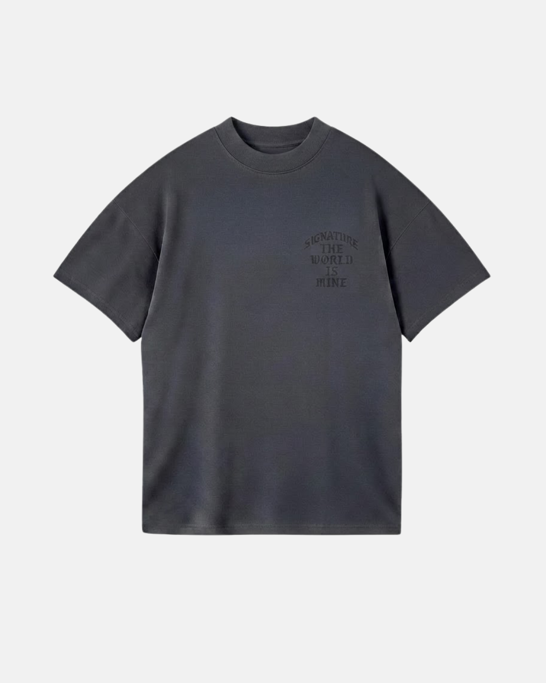 T016 - World Is Mine Tee Gris